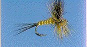 october fly 1997