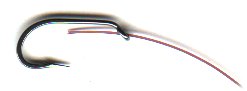 tandem1.jpg
