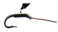 tandem3.jpg