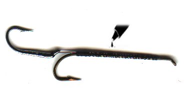 tandem4.jpg